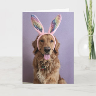 Golden Retriever Easter card Kaart