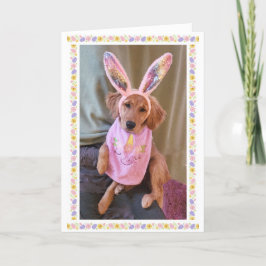 Golden Retriever Easter Kaart