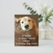Golden Retriever Een huis is nooit meer een eenzam Briefkaart (Staand voorkant)