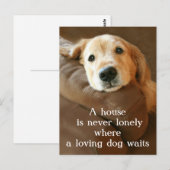 Golden Retriever Een huis is nooit meer een eenzam Briefkaart (Voorkant / Achterkant)