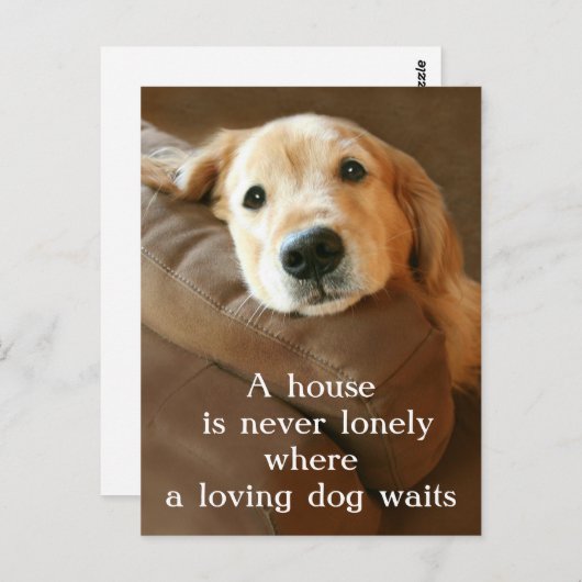 Golden Retriever Een huis is nooit meer een eenzam Briefkaart (Voorkant / Achterkant)