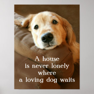 Golden Retriever Een huis is nooit meer een eenzam Poster