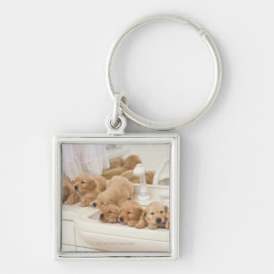 Golden Retriever; een relatief modern en 2 Sleutelhanger