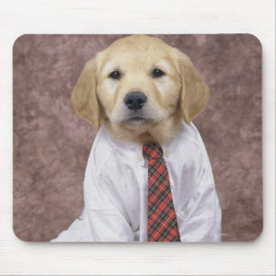 Golden Retriever; een relatief modern en Muismat