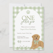 Golden Retriever eerste verjaardagsfeestje groen Kaart (Voorkant)