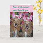 Golden Retriever Eggs-tra Special Easter Kaart (Gele Bloem)