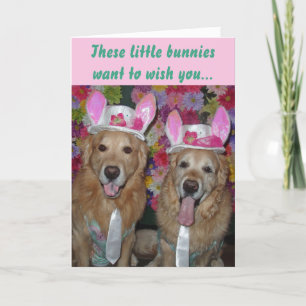 Golden Retriever Eggs-tra Special Easter Kaart