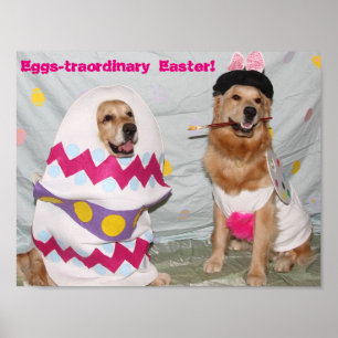 Golden Retriever Eggstramal Easter Bunny Poster
