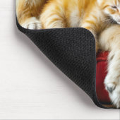 Golden Retriever en gouden kitten slapen Muismat (Hoek)