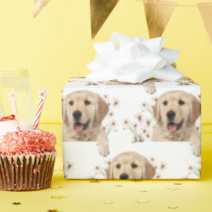 Golden Retriever en madeliefjes Cadeaupapier