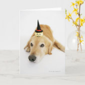 Golden retriever en ornament kaart (Gele Bloem)
