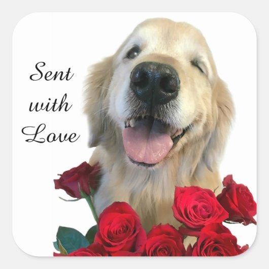 Golden Retriever en Rozen Verzonden Met Liefde Vierkante Sticker (Voorkant)