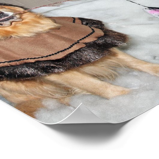Golden Retriever Eskimos Poster (Hoek)