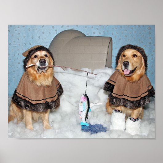 Golden Retriever Eskimos Poster (Voorkant)