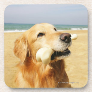 Golden Retriever etend bot Bier Onderzetter