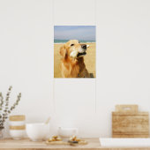 Golden Retriever etend bot Poster (Keuken)