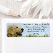 GOLDEN RETRIEVER ETIKET (Insitu)