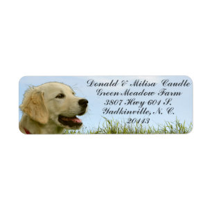 GOLDEN RETRIEVER ETIKET