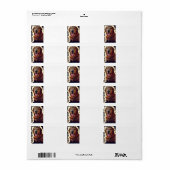 Golden Retriever Etiket (Full Sheet)