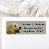 Golden Retriever Etiket (Insitu)