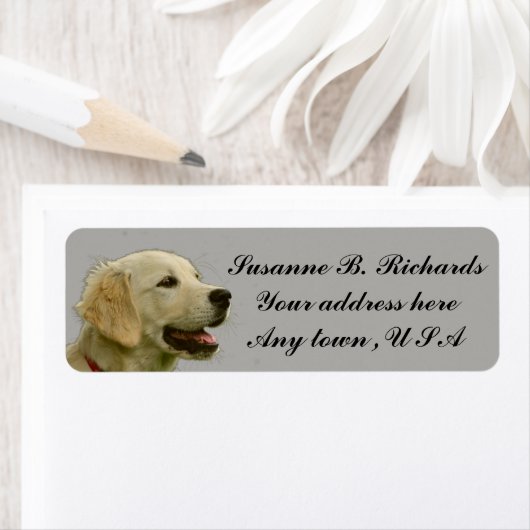 Golden Retriever Etiket (Insitu)