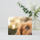 Golden Retriever Eye Closeup Briefkaart (Staand voorkant)
