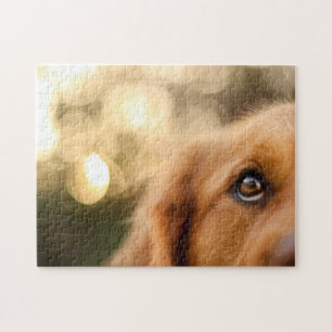 Golden Retriever Eye Closeup Legpuzzel