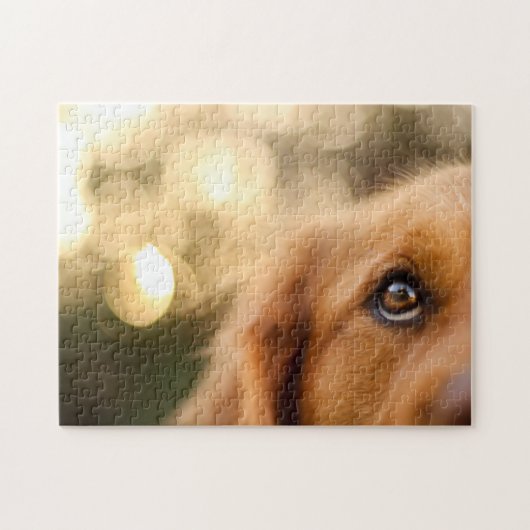 Golden Retriever Eye Closeup Legpuzzel (Horizontaal)
