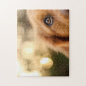 Golden Retriever Eye Closeup Legpuzzel (Verticaal)