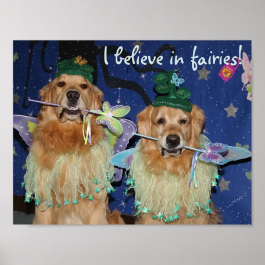 Golden Retriever Fairies Poster (Voorkant)