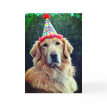 Golden Retriever & Feesthoed met Hartelijk Gefelic