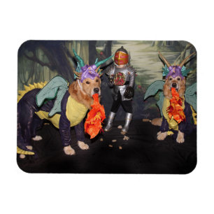 Golden Retriever Fire Breathing Dragons Magneet