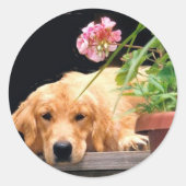 Golden Retriever Flower Sticker (Voorkant)