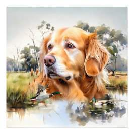 Golden Retriever Foto Afdruk