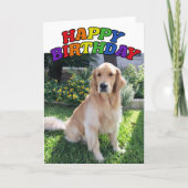 Golden Retriever Foto: Beauful Rainbow Birthday Kaart (Voorkant)