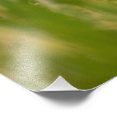 Golden Retriever - Foto van hoge kwaliteit Afdruk (Hoek)