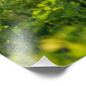 Golden Retriever - Foto van hoge kwaliteit Foto Afdruk (Hoek)