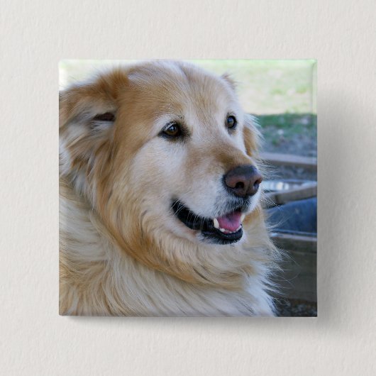 Golden Retriever Foto Vierkante Button 5,1 Cm (Voorkant)
