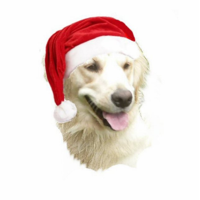 Golden Retriever Fotobeeldje Ornament (Voorkant)