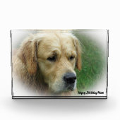 Golden Retriever. Fotoblokken (Voorkant)