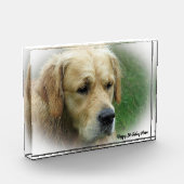 Golden Retriever. Fotoblokken (Links)