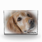 Golden Retriever. Fotoblokken (Voorkant)