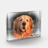 Golden Retriever. Fotoblokken (Links)