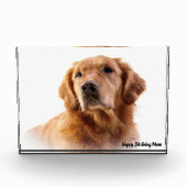Golden Retriever. Fotoblokken (Voorkant)