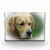 Golden Retriever. Fotoblokken (Voorkant)
