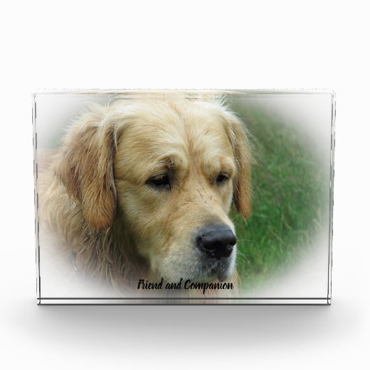 Golden Retriever. Fotoblokken (Voorkant)
