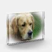 Golden Retriever. Fotoblokken (Links)