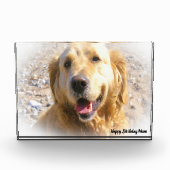 Golden Retriever. Fotoblokken (Voorkant)