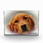 Golden Retriever. Fotoblokken (Voorkant)