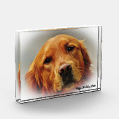 Golden Retriever. Fotoblokken (Links)